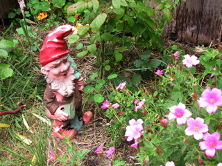 gnome and flowers